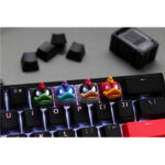 Ducky x Hotkeys Ducky League Keycap - The Bulk-57396