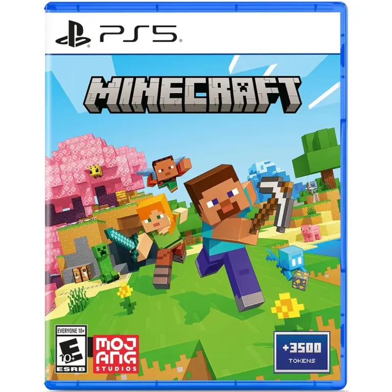 Ps5 : Minecraft - R1-0