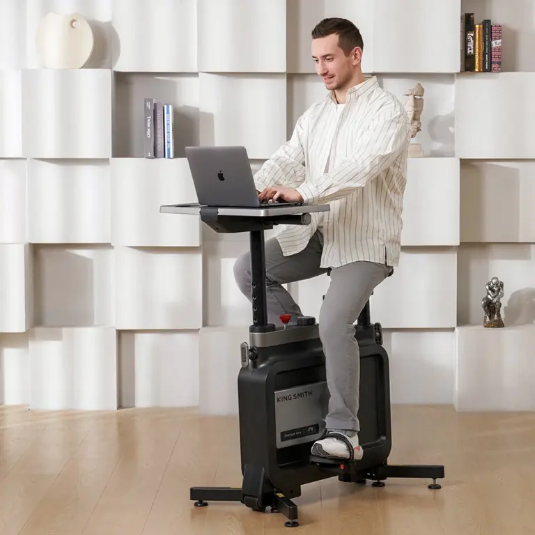 King Smith W1B Foldable Exercise Bike-0