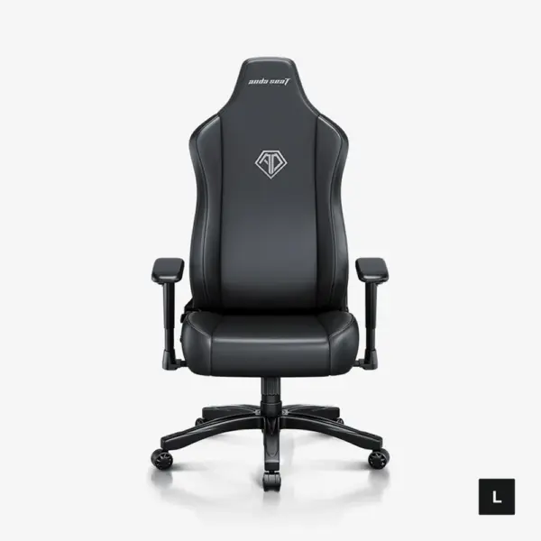 Andaseat Novis Series Best Budget Ergonomic Large Gaming Chair - Black-0