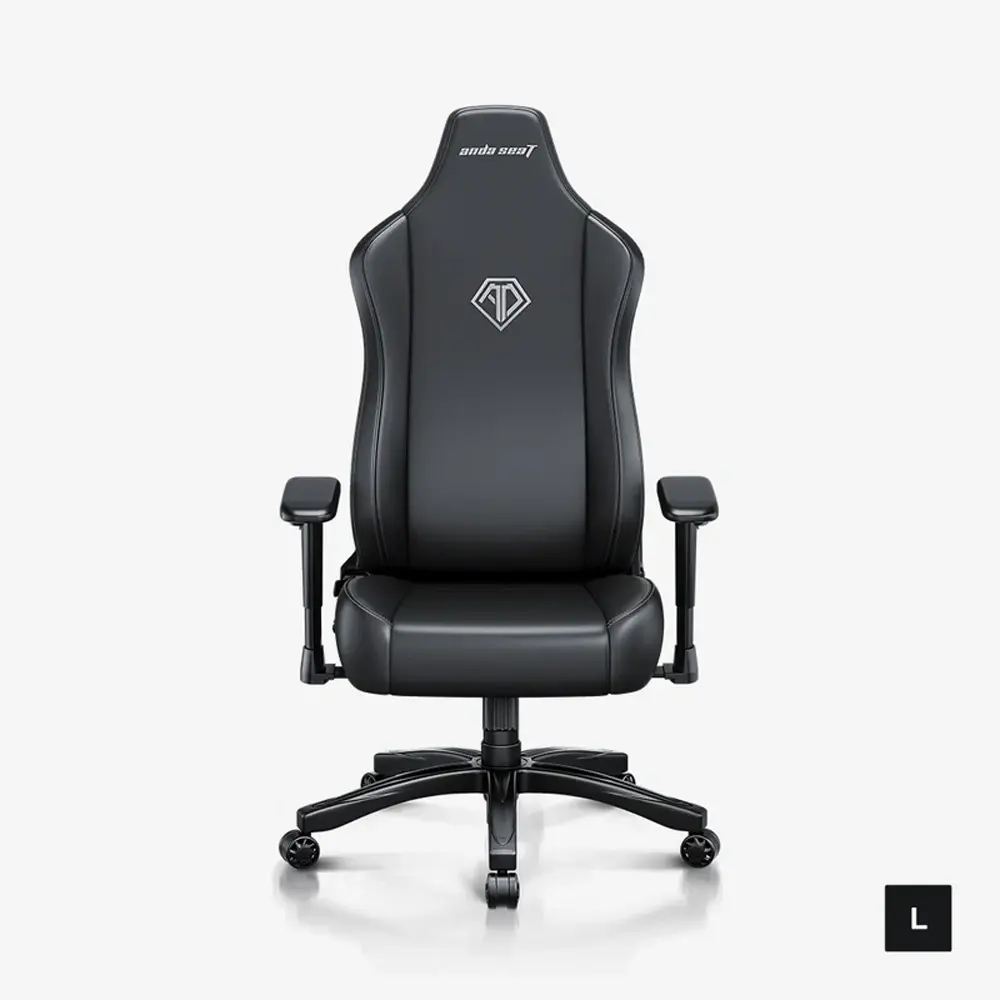 Andaseat Novis Series Best Budget Ergonomic Large Gaming Chair - Black-0