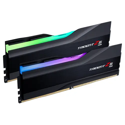 Memory RAM large