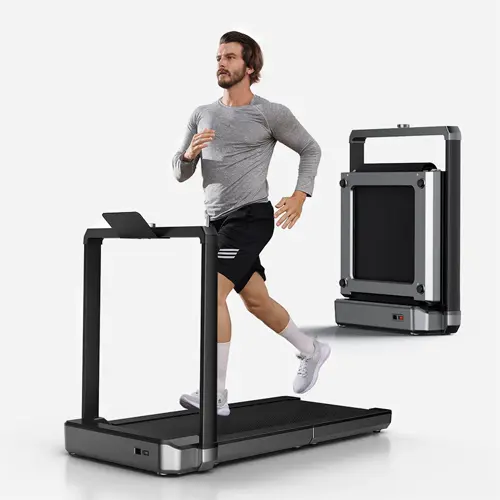 Walkingpad Treadmill large