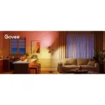 Govee Tree Floor Lamp - Image 5