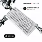 Cybeart Nighthawk 75 Wireless MkII Pre-Lubed Switches Tri-Mode Gaming Keyboard - White - Image 5