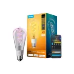 Govee  Edison Bulb