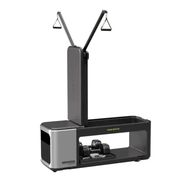 Kingsmith Multifunctional Fitness Bench BX2+2D